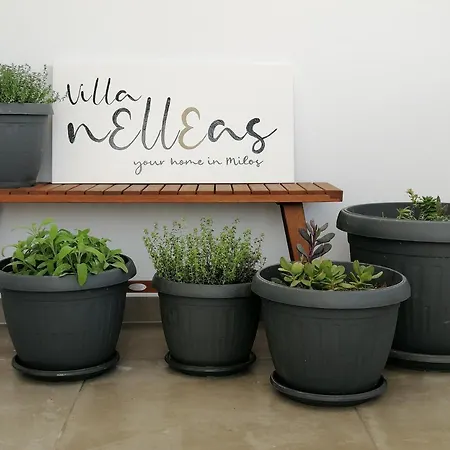 Villa Nelleas Adamantas (Milos)