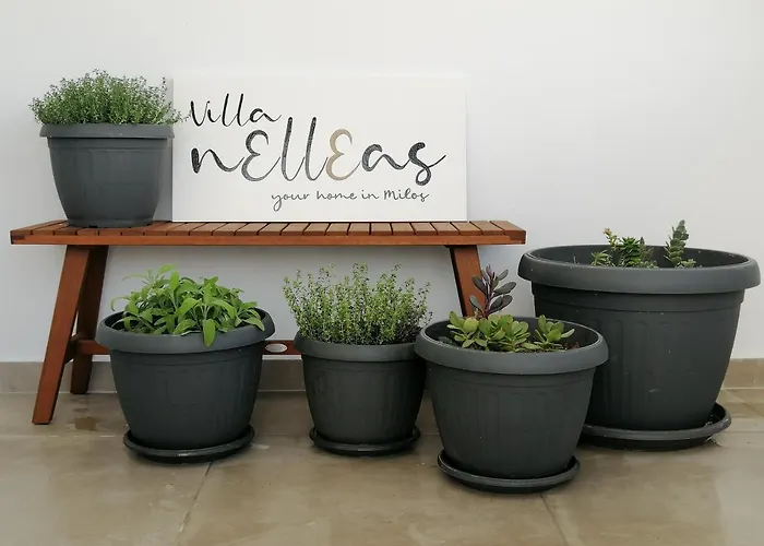 빌라 Nelleas 아다마스